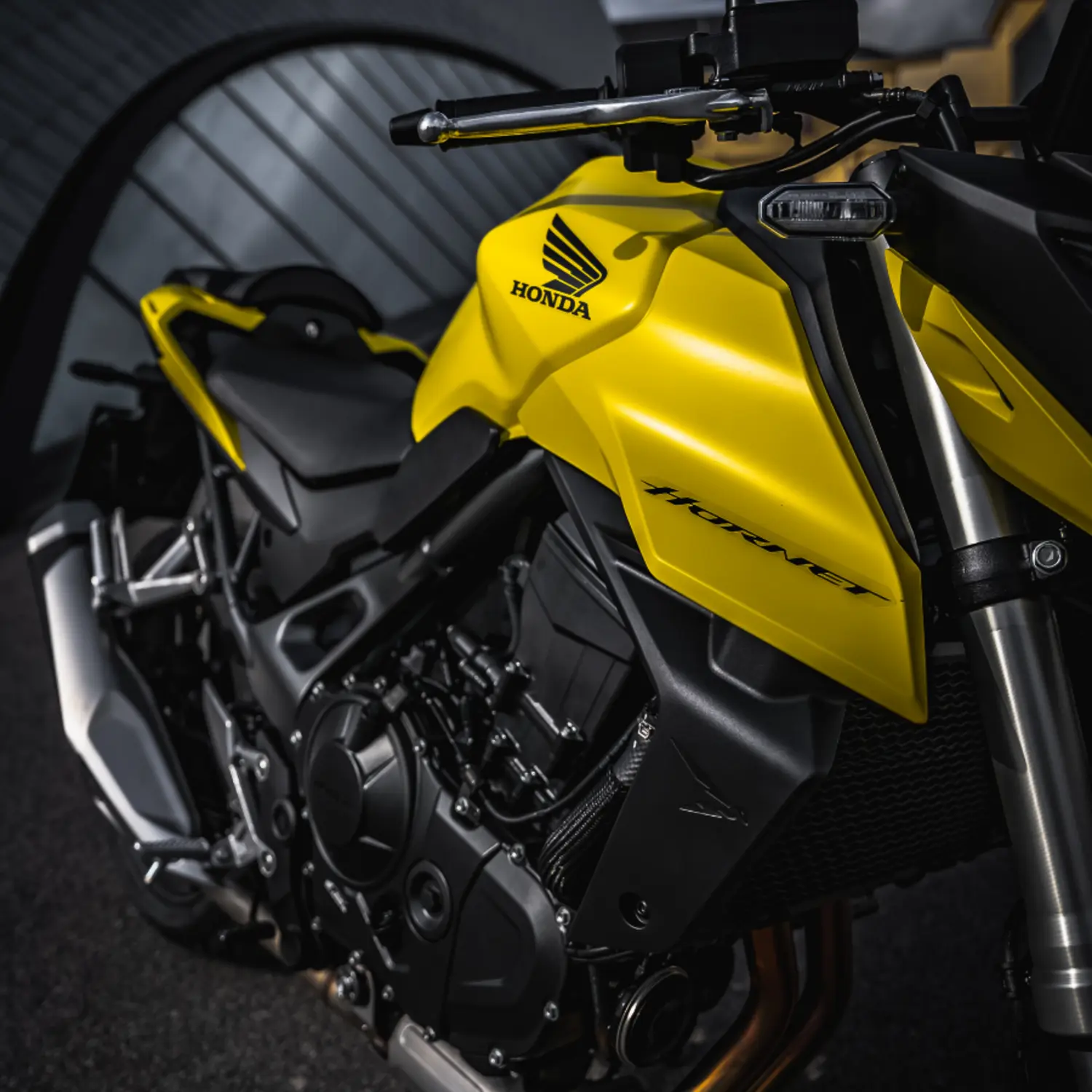 Honda Hornet