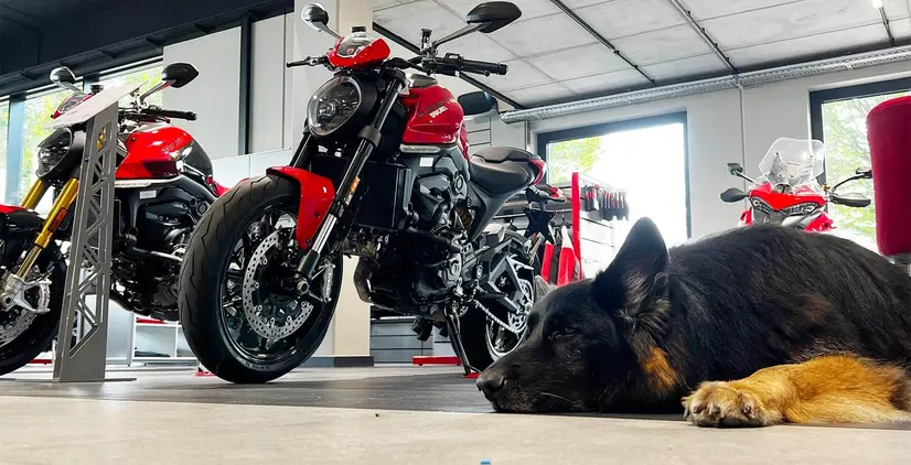 Ducati im Showroom in Krems